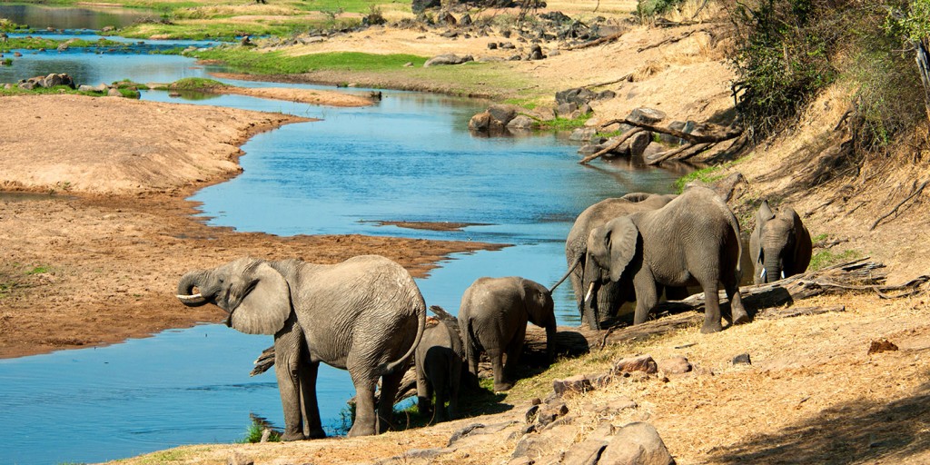 8 Day Safari in Lake Eyasi, Serengeti and Ngorongoro Crater